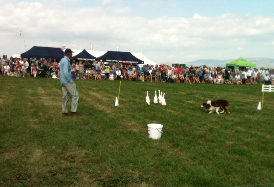 Aughton pudding show