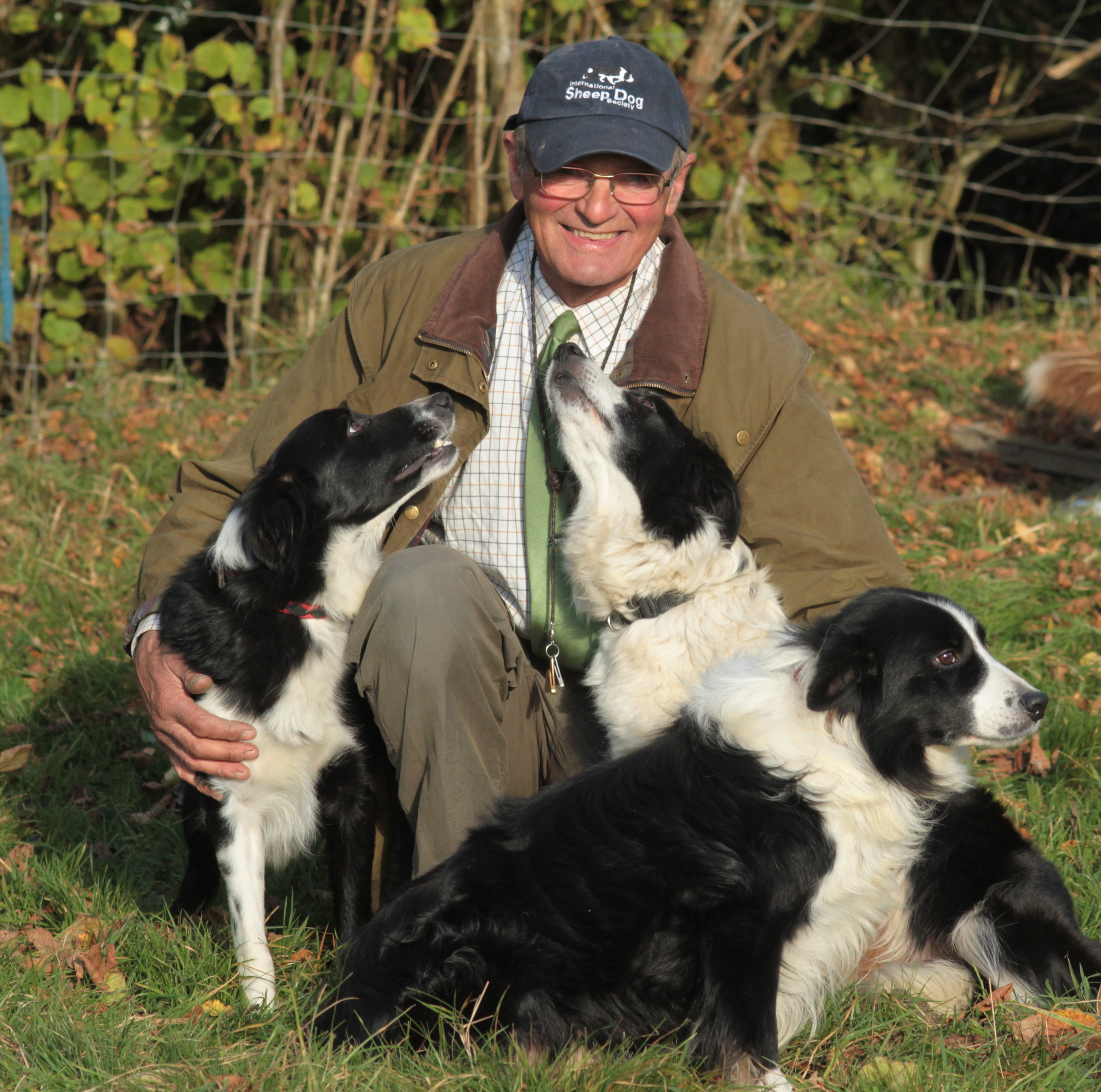 al with his beautiful border collies